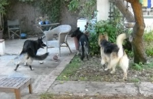 Playin'