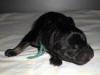 One Day Old