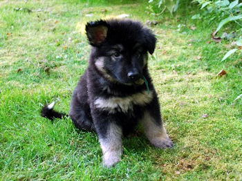 7 weeks 2